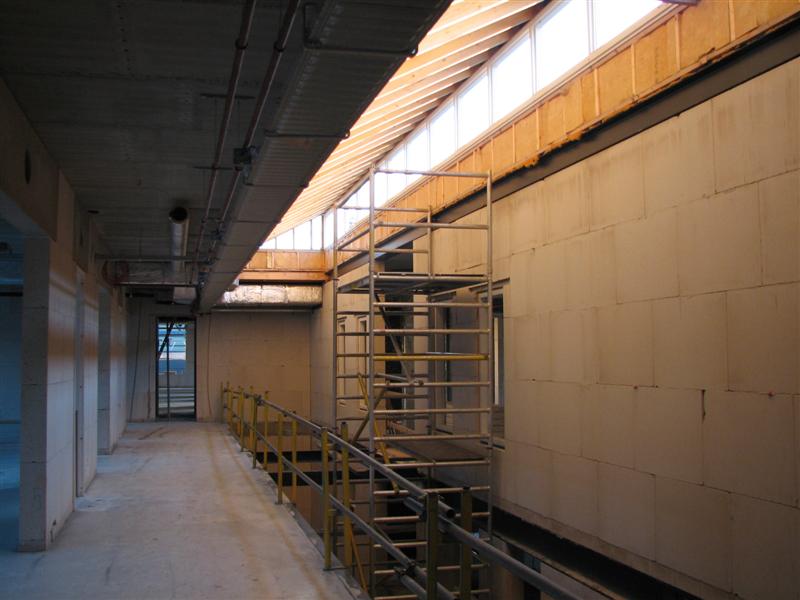 IMG_5269 (Medium).JPG